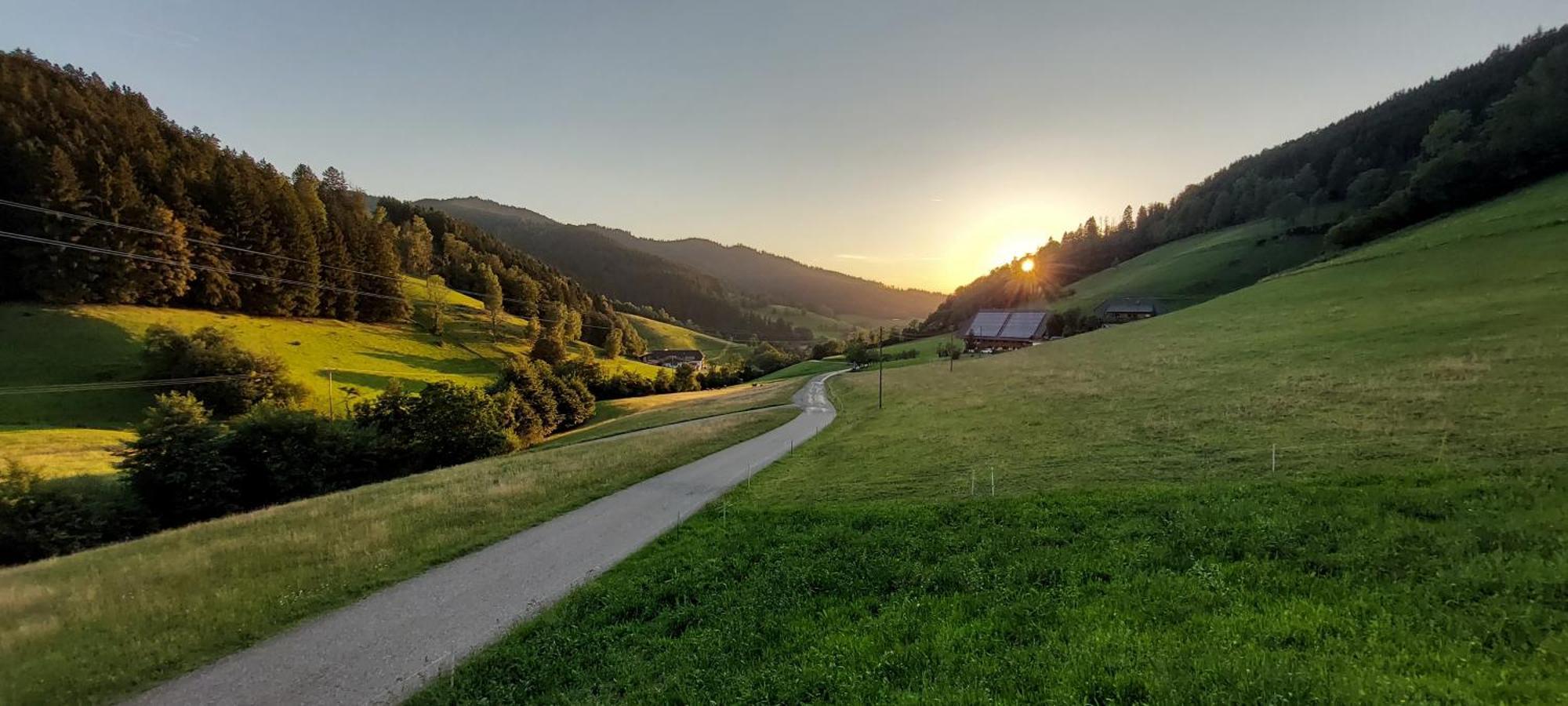 Irgendwo Im Schwarzwald Apartment Elzach Ngoại thất bức ảnh